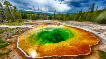 Yellowstone parc