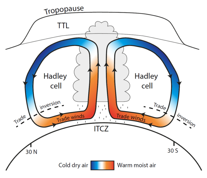 Qu'estce qui détermine la limite des cellules de Hadley