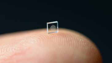 caméra grain de sel