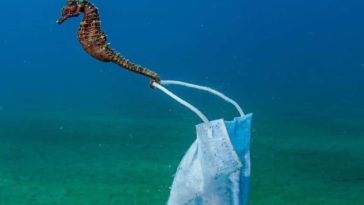 déchets plastique covid