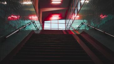 escaliers marches coeur