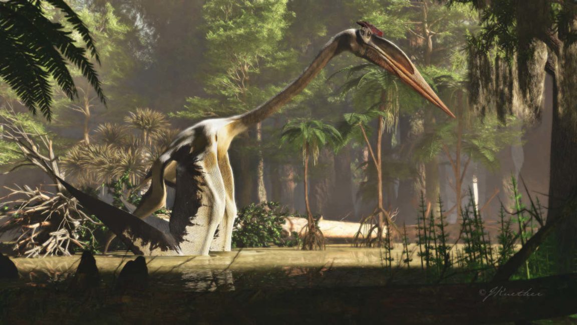 Quetzalcoatlus pt&eacute;rosaure