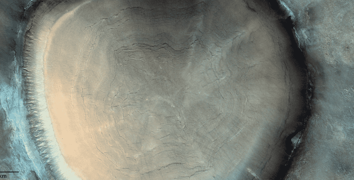 cratère souche arbre mars