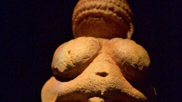 vénus de Willendorf