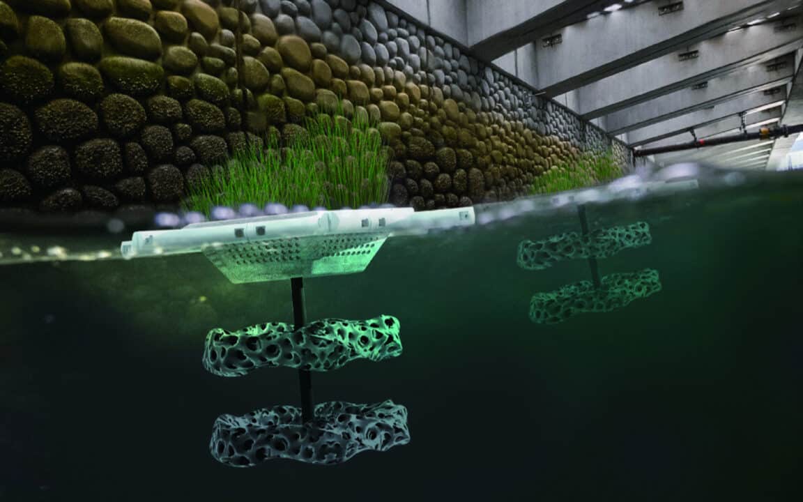 ecosysteme rivière impression 3D 2