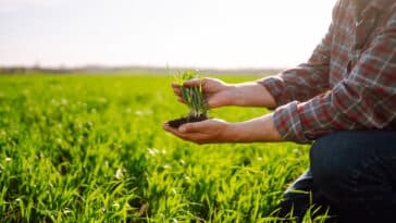 champ agricole agriculteur terre