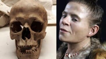 femme de l'âge de pierre