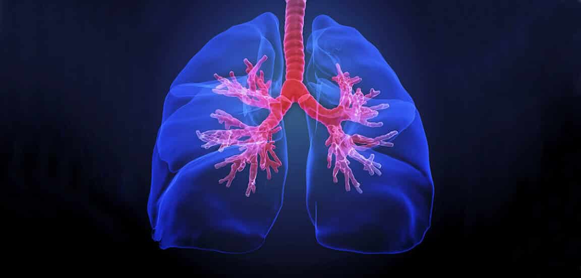 poumons