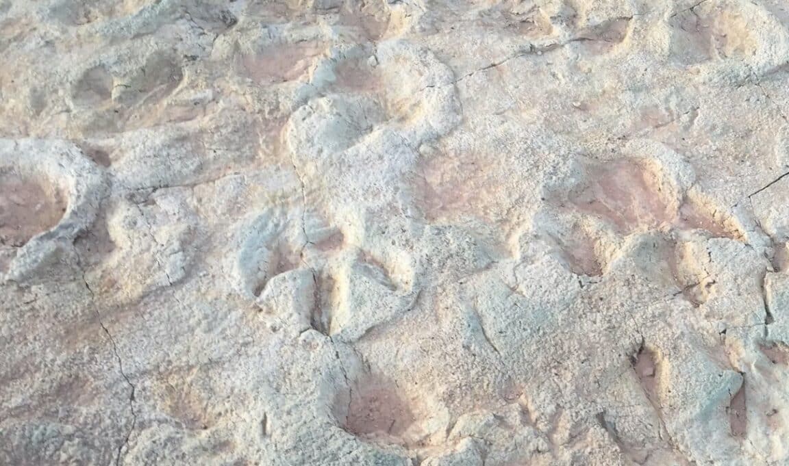 empreintes dinosaures