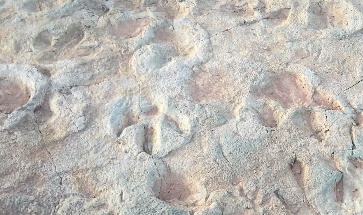 empreintes dinosaures