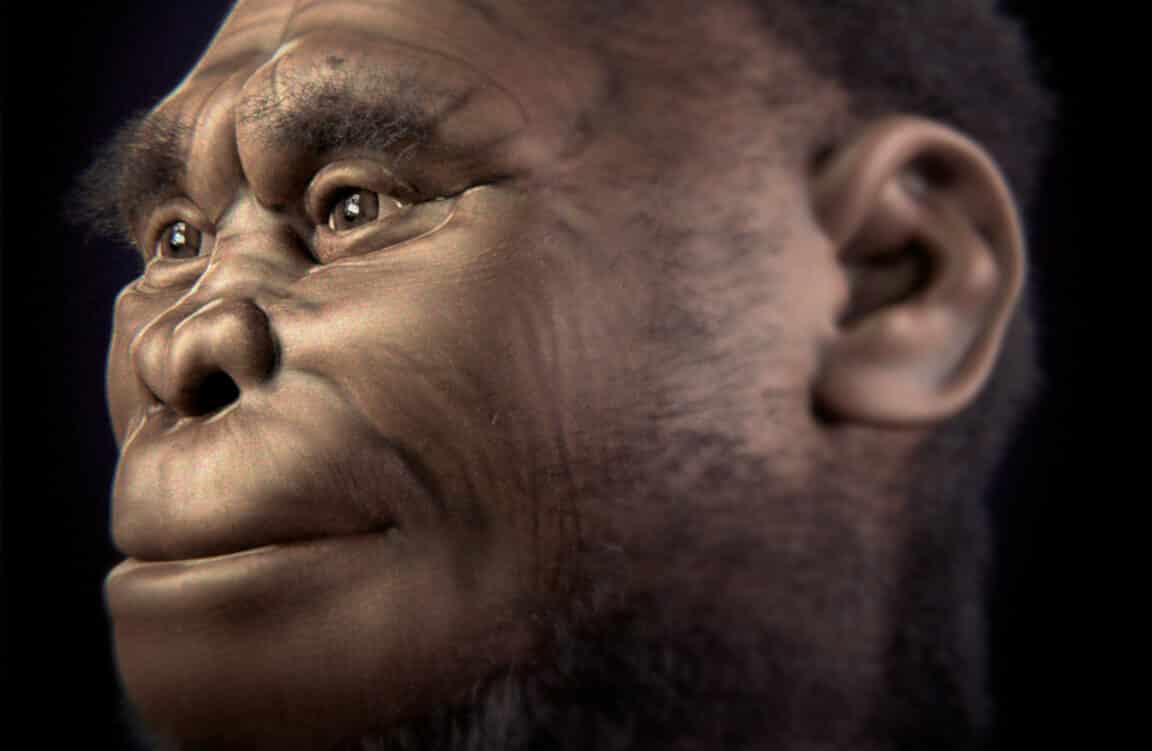 homme de florès hobbits