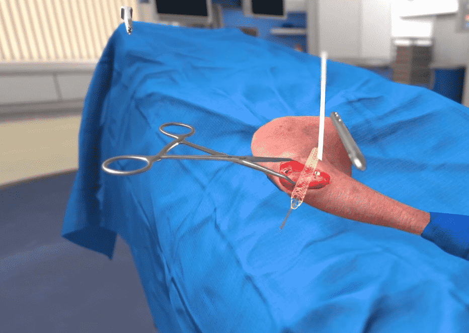 réalité virtuelle vétérinaire