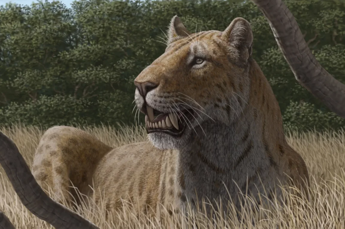 chat dent de sabre Homotherium latidens hyènes géantes