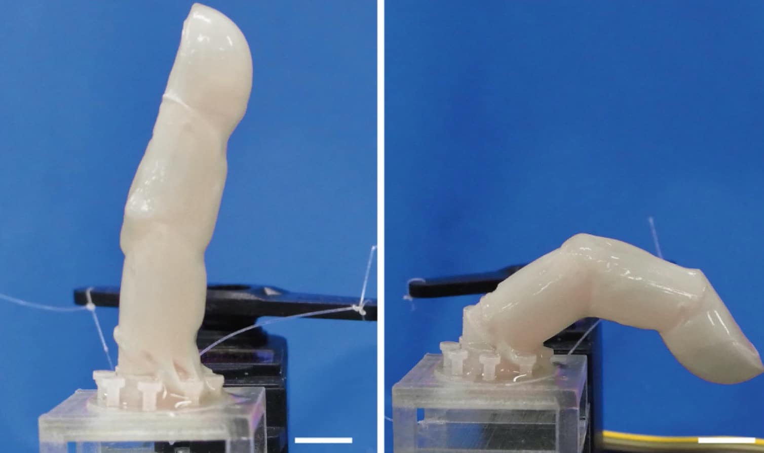 doigt robotique peau humaine