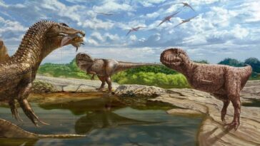 dinosaure abélisauridé