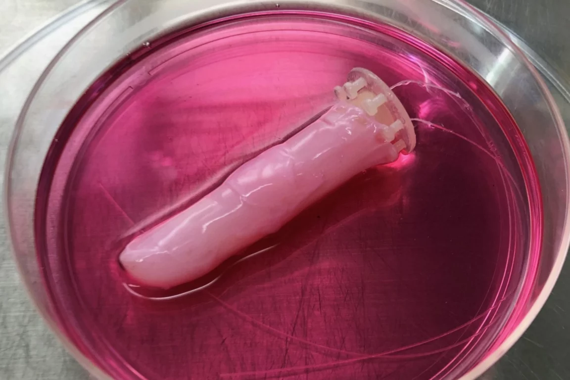 doigt robotique peau humaine