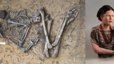 reconstitution visage femme âge de bronze