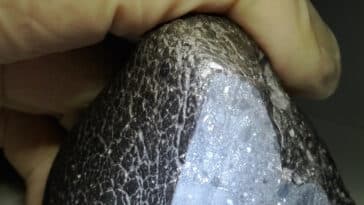 météorite martienne