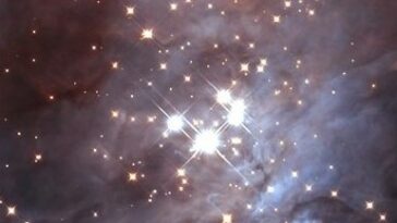 trapèze pépinière étoiles jwt