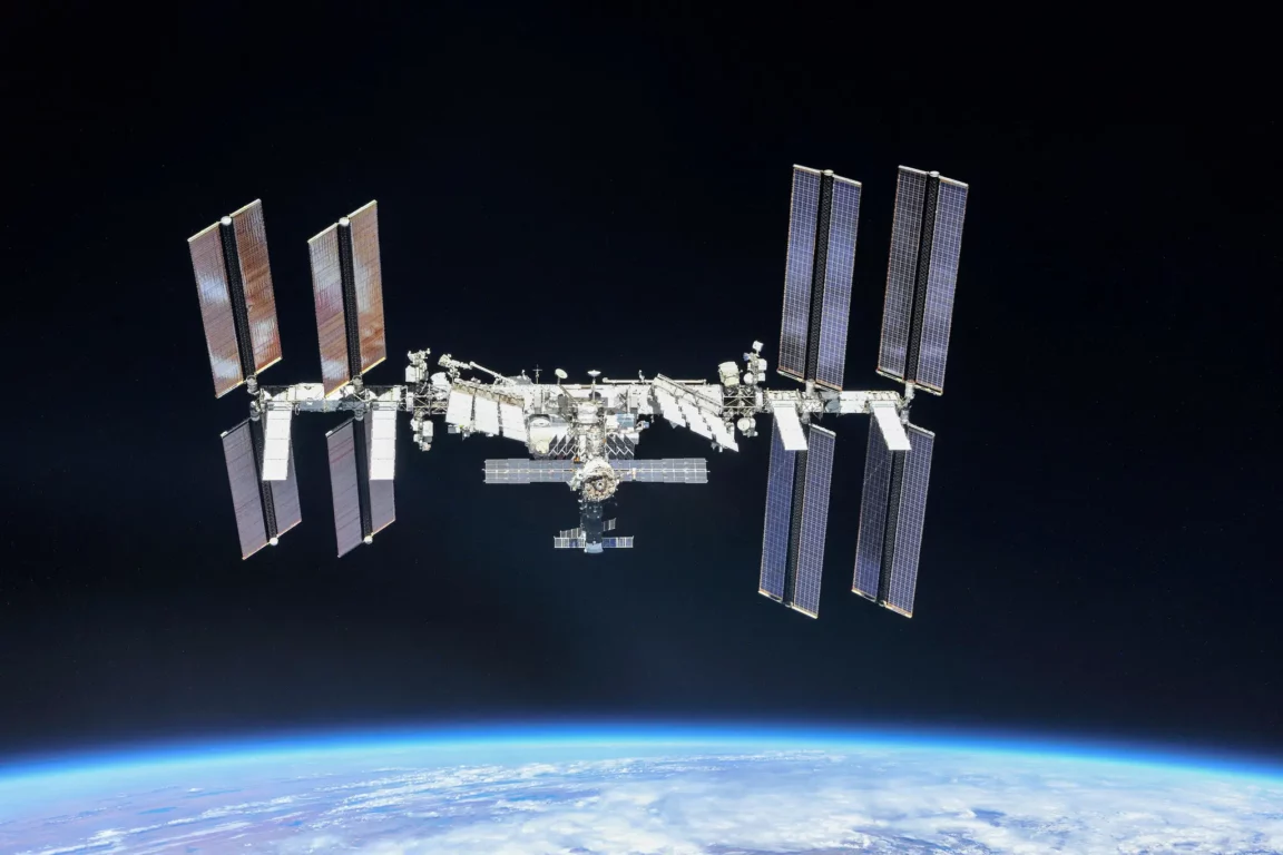station spatiale internationale cellules de vache