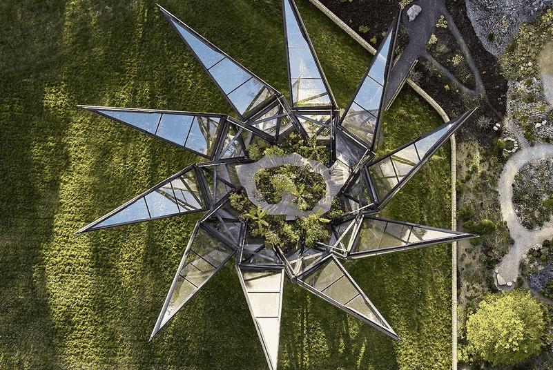 serre cinétique pétale 2