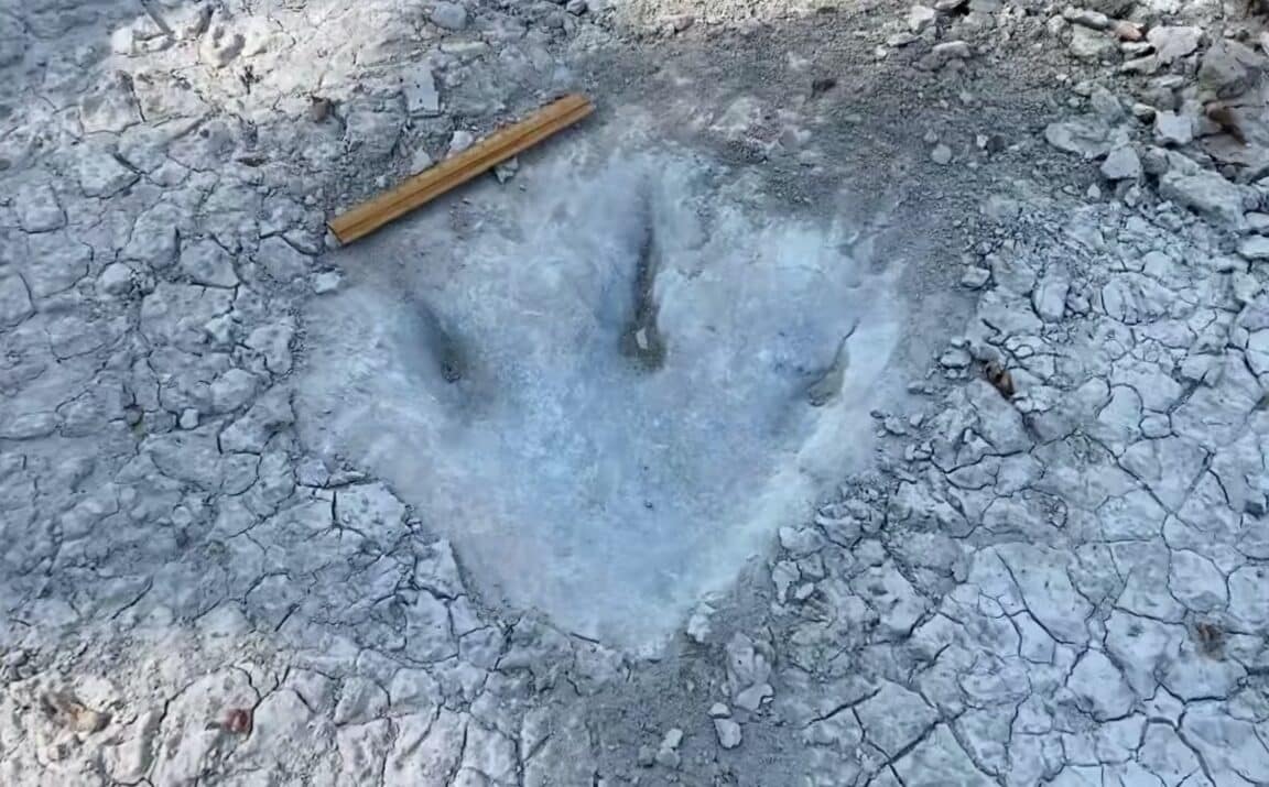 empreintes dinosaures