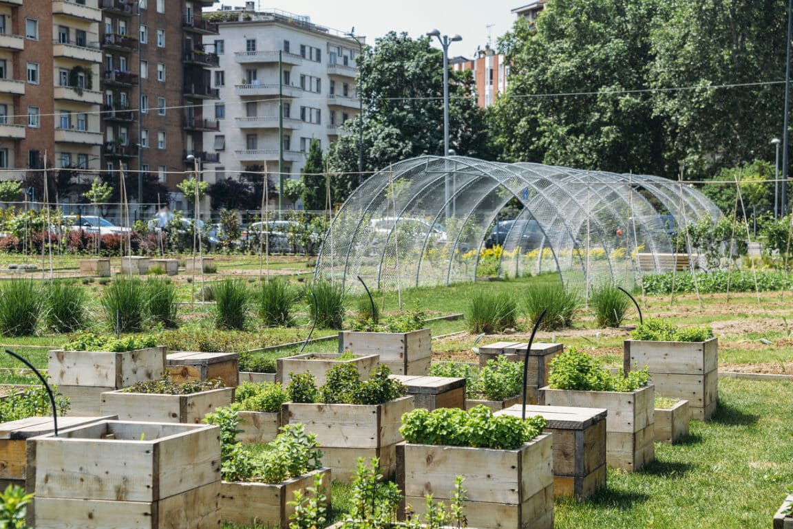 agriculture urbaine