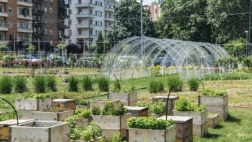 agriculture urbaine