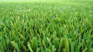 pelouse artificielle