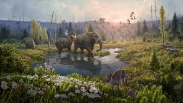 ADN deux millions d'années Groenland