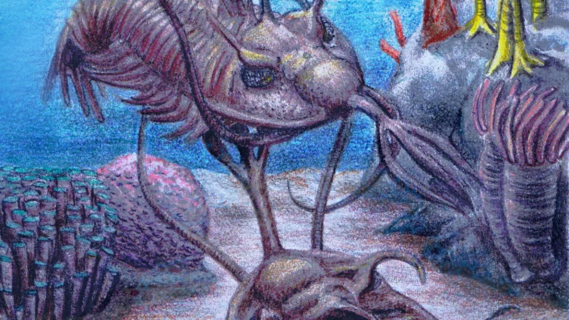 trilobites trident combat sexuel