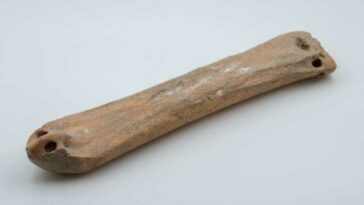 patins à glace chine