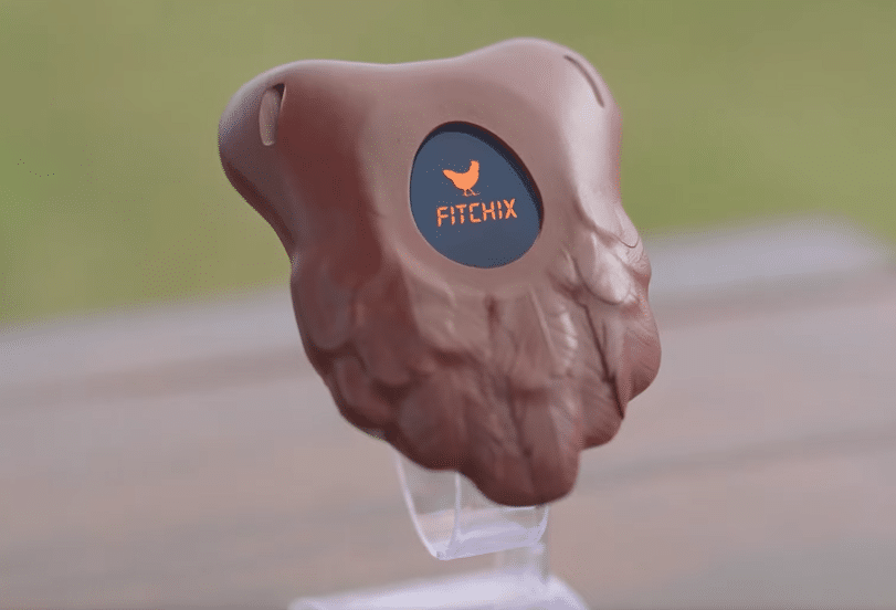 oeuf compteur de pas 2