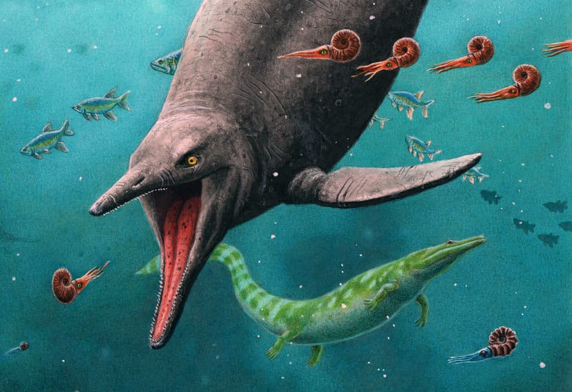 ichtyosaures reptiles