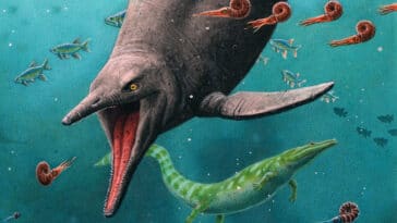 ichtyosaures reptiles