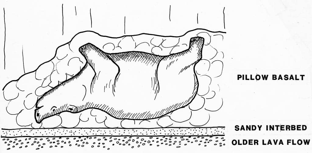 blue-lake-rhino cave rhinocéros