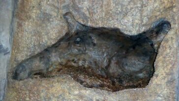 blue-lake-rhino cave