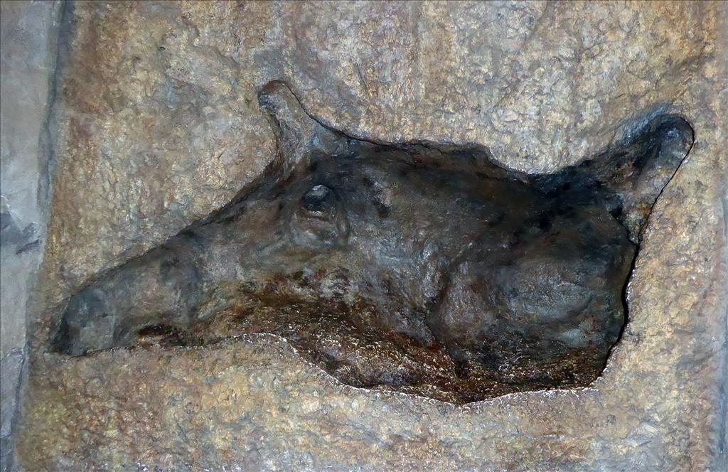 blue-lake-rhino cave