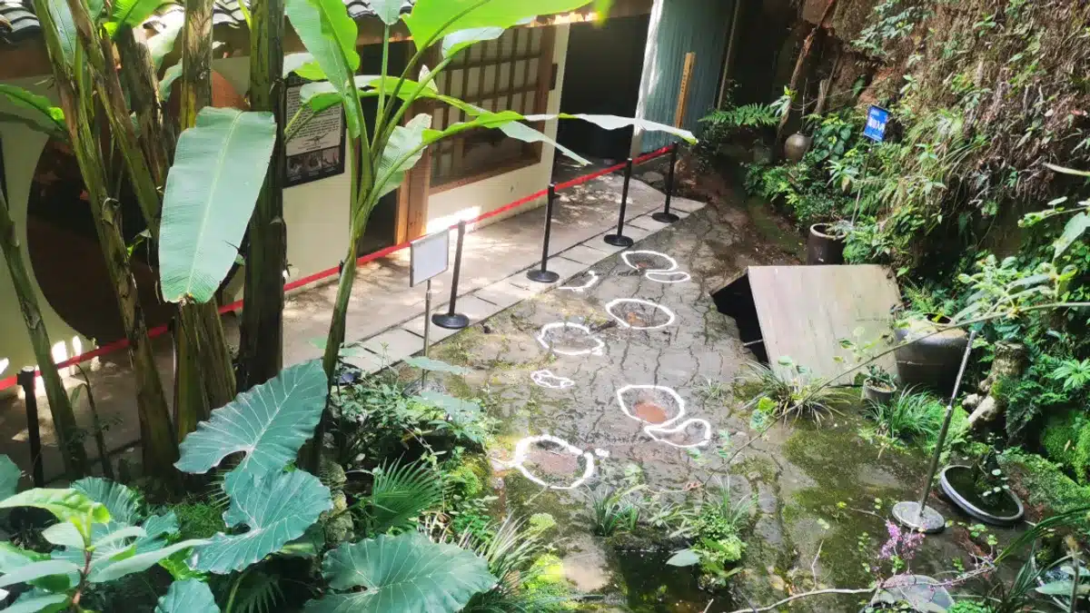 empreintes dinosaures