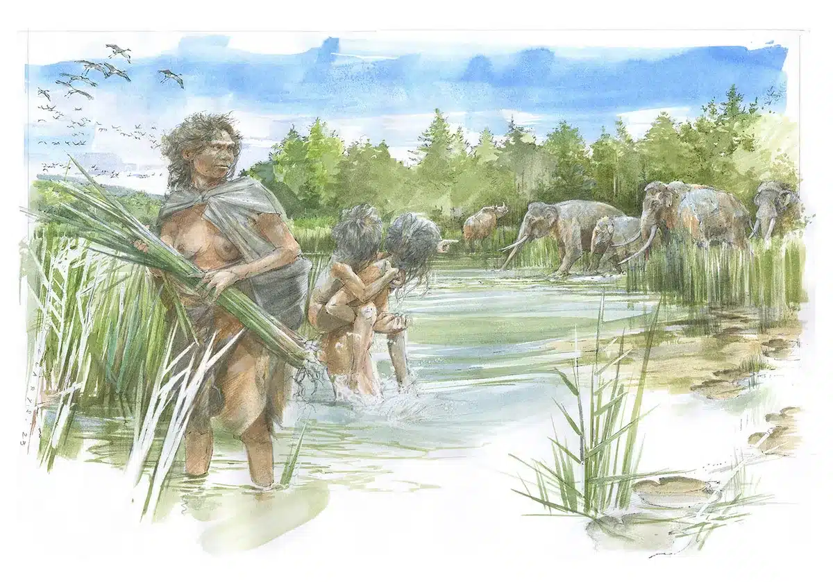 homo-heidelbergensis empreintes humaines Allemagne