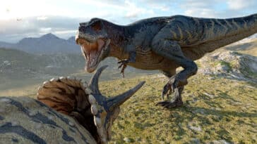 Tyrannosaurus and Triceratops from the Cretaceous T.rex