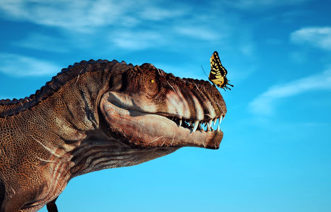 papillons dinosaures