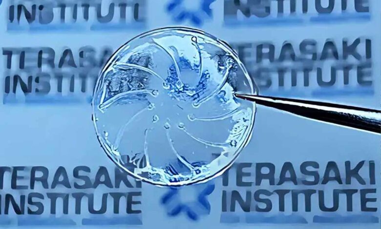 lentilles contre oeil sec sécheresse oculaire