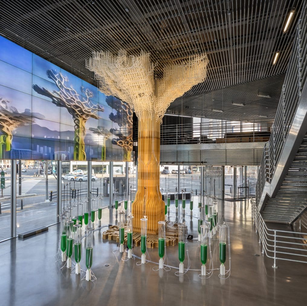 arbre 3D ville durable 2