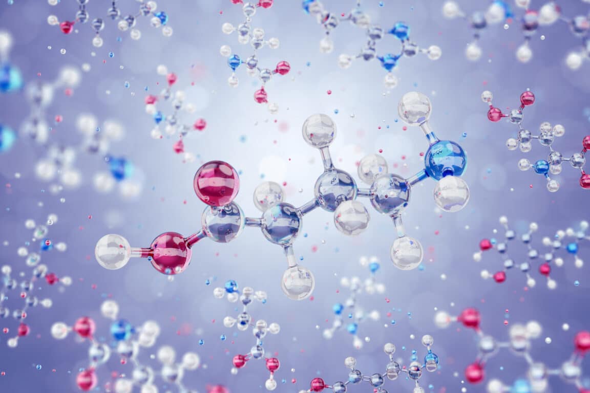 taurine acide aminé