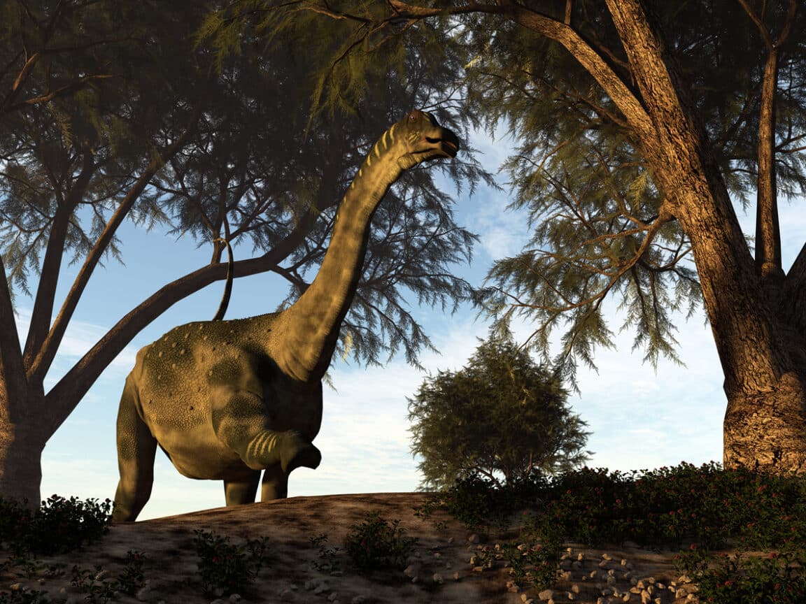 sauropodes dinosaures à long cou
