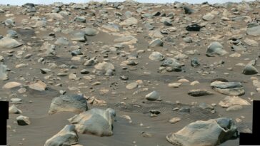 Mars rivière Perseverance