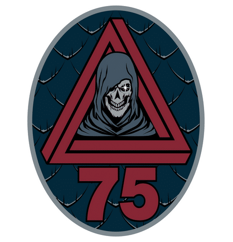 ISRS 75 force spatiale