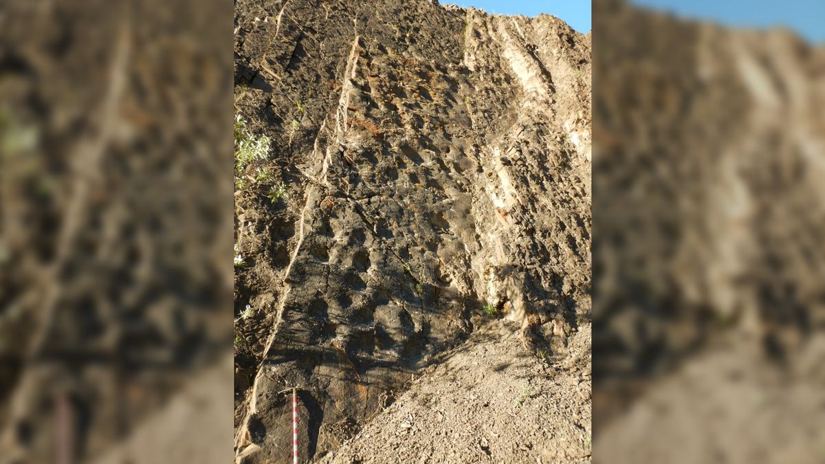 empreintes de dinosaures Alaska