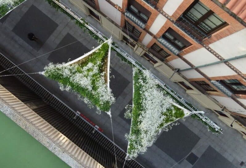 green shades canopée 2